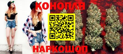 дживик Ирбит