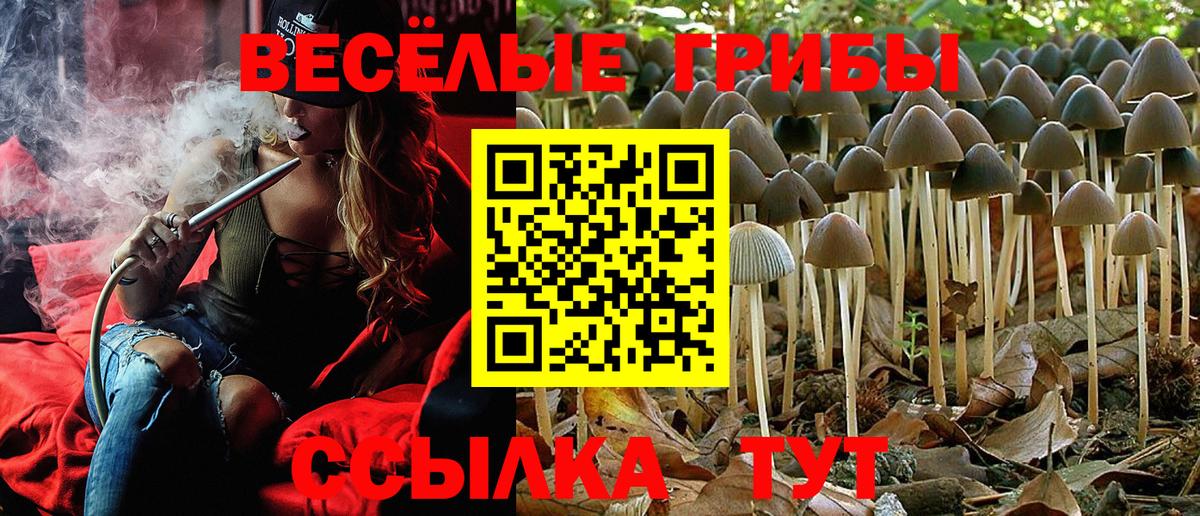 Псилоцибиновые грибы ЛСД Ленинск-Кузнецкий