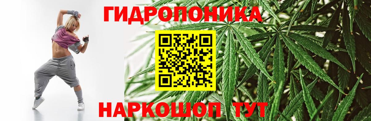 Конопля OG Kush Ленинск-Кузнецкий